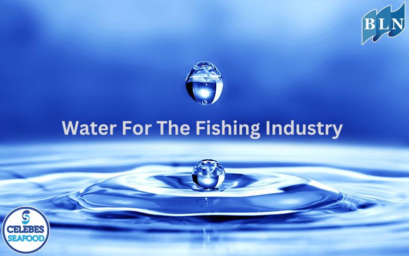 The Importance Of Water For The Fishing Industry